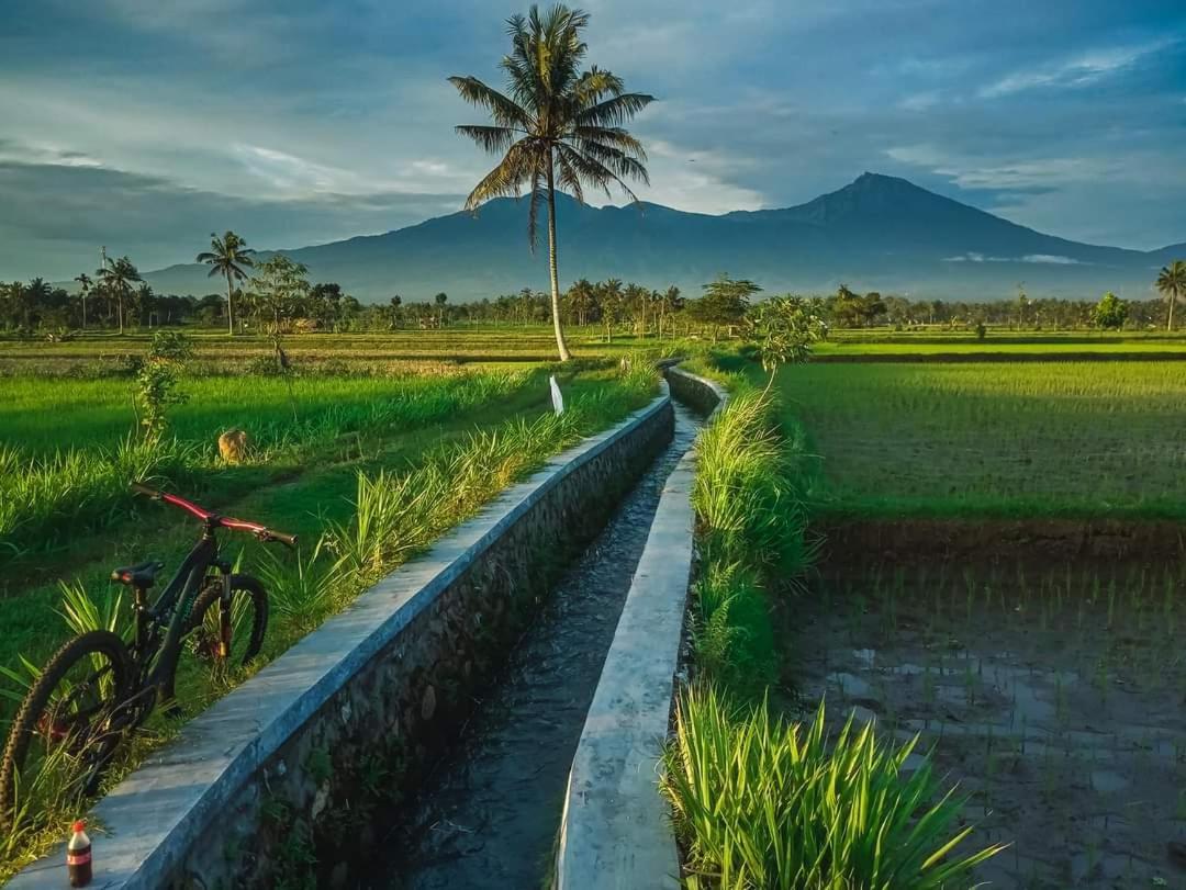 Peraja Bungalows Loyok Sangyang Стая снимка